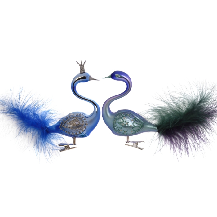 Labutí pár v modré